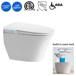 OVS Luxury Built-in Tank Automatic American Standard Smart Toilet