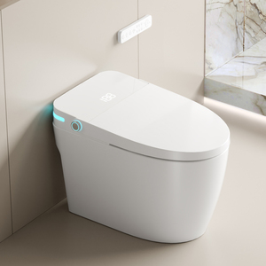 Touchless Automatic Flush Smart Bidet Toilet with Remote